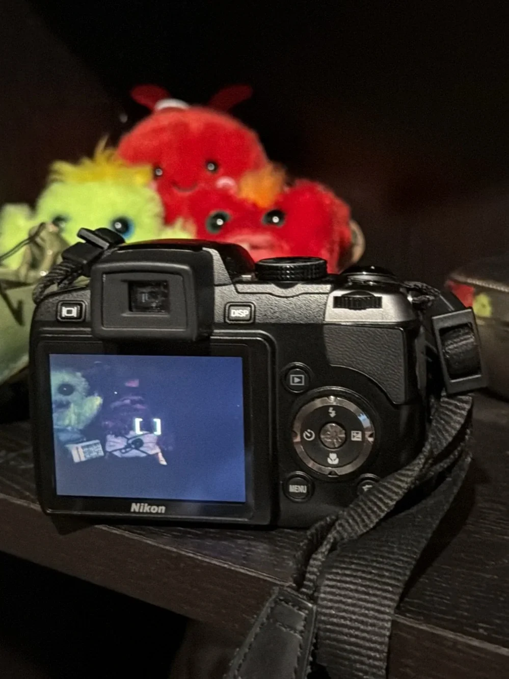Nikon Black Digital Camera with Nikkor 18x Optical Zoom